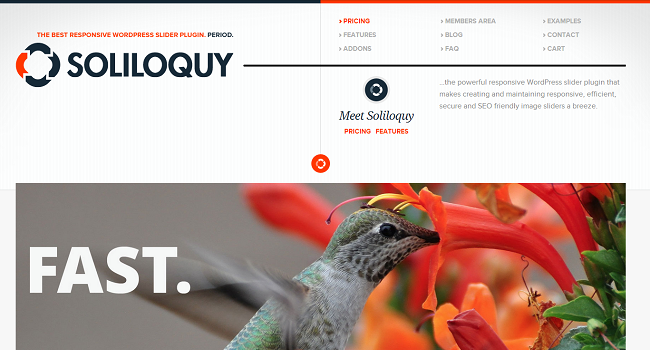 Soliloquy WordPress Theme