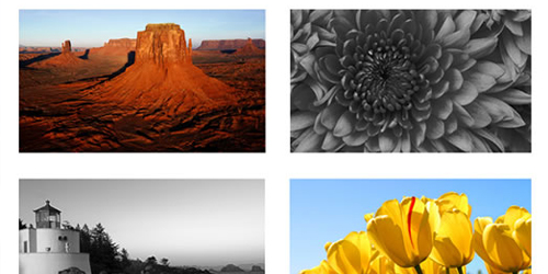jquery-hover-black-white